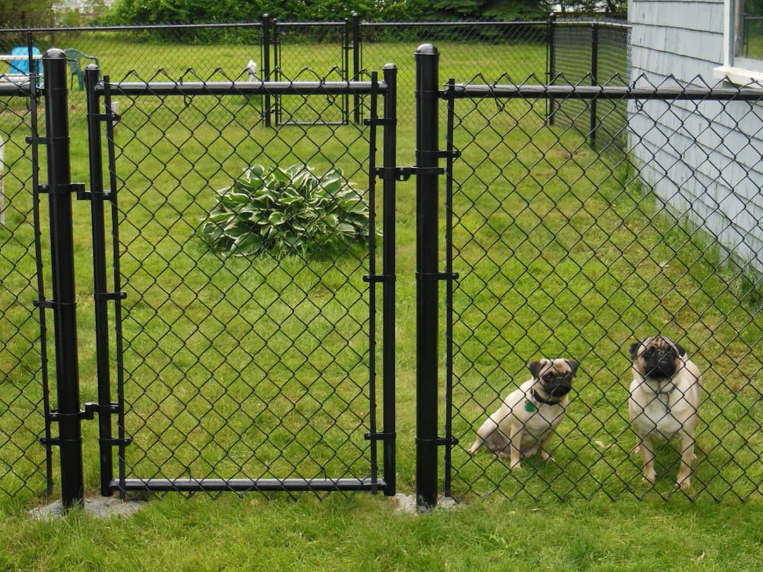 Let-Outs/Outdoor Exercise